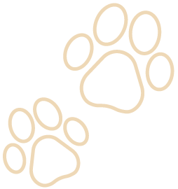 paw prints beige